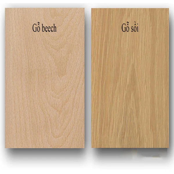 So sánh gỗ beech và gỗ sồi: Nên lựa chọn loại nào cho nội thất?