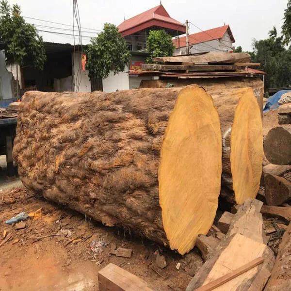 Gỗ cẩm vàng: Có mấy loại, có tốt không và giá bao nhiêu tiền một khối?