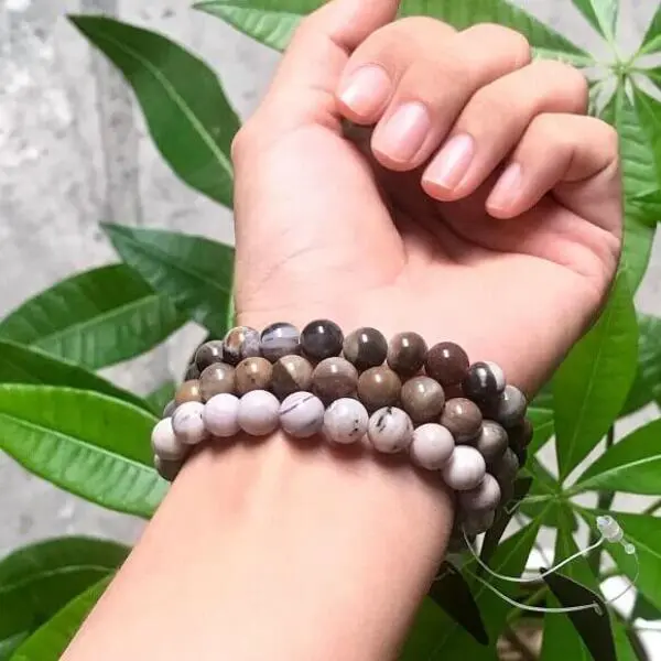 Gỗ hóa thạch hợp mệnh gì? Giải mã năng lượng và sự tương hợp trong phong thủy