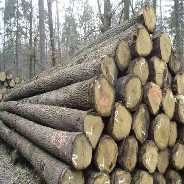 Gỗ tần bì (gỗ ASH) là gỗ gì? Gỗ tần bì bao tiền 1 khối?