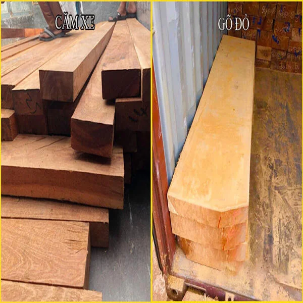 So sánh gỗ căm xe và gỗ đỏ: Chọn loại nào cho nội thất?