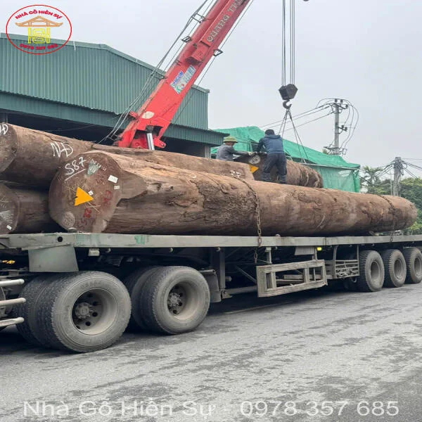 So sánh gỗ lim và gỗ nghiến: Nên lựa chọn loại gỗ quý nào?