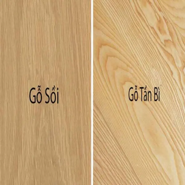 So sánh gỗ tần bì và gỗ sồi: Loại gỗ nào đắt hơn, tốt hơn?