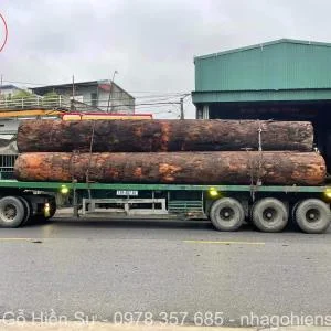 Giá gỗ lim Lào bao nhiêu? Được ứng dụng trong chế tác nhà gỗ cổ truyền thế nào?