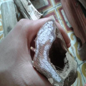 Gỗ Ngọc Am lên tuyết là gì? Báu vật tâm linh từ vùng cao Hà Giang