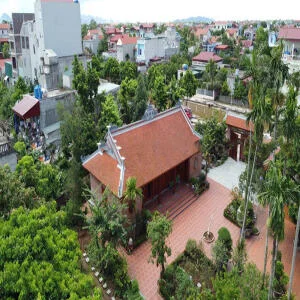 Nên và không nên trồng cây gì trong khuôn viên nhà gỗ cổ truyền?