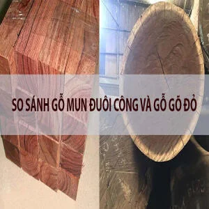 So sánh gỗ mun đuôi công và gỗ hương: Lựa chọn đẳng cấp cho nội thất hạng sang