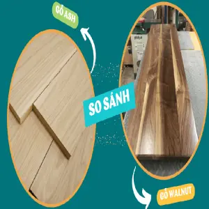 So sánh gỗ tần bì và gỗ óc chó: Lựa chọn nào tối ưu cho nội thất?