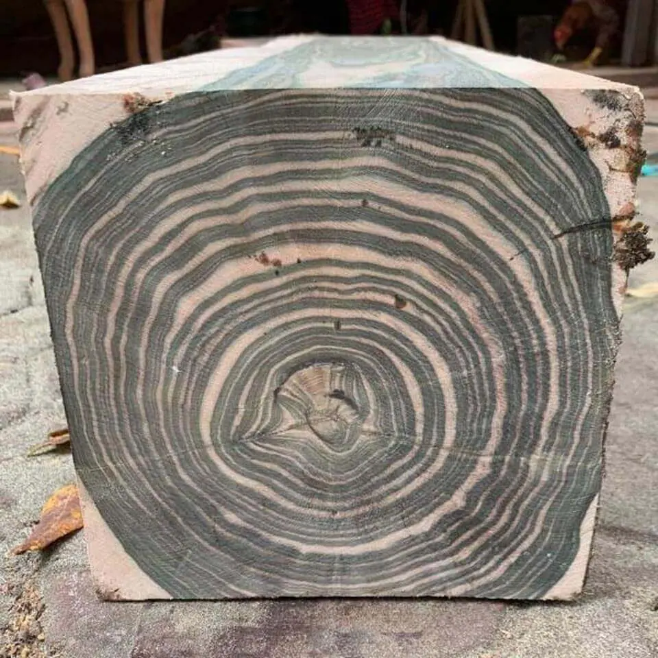 Gỗ Mun