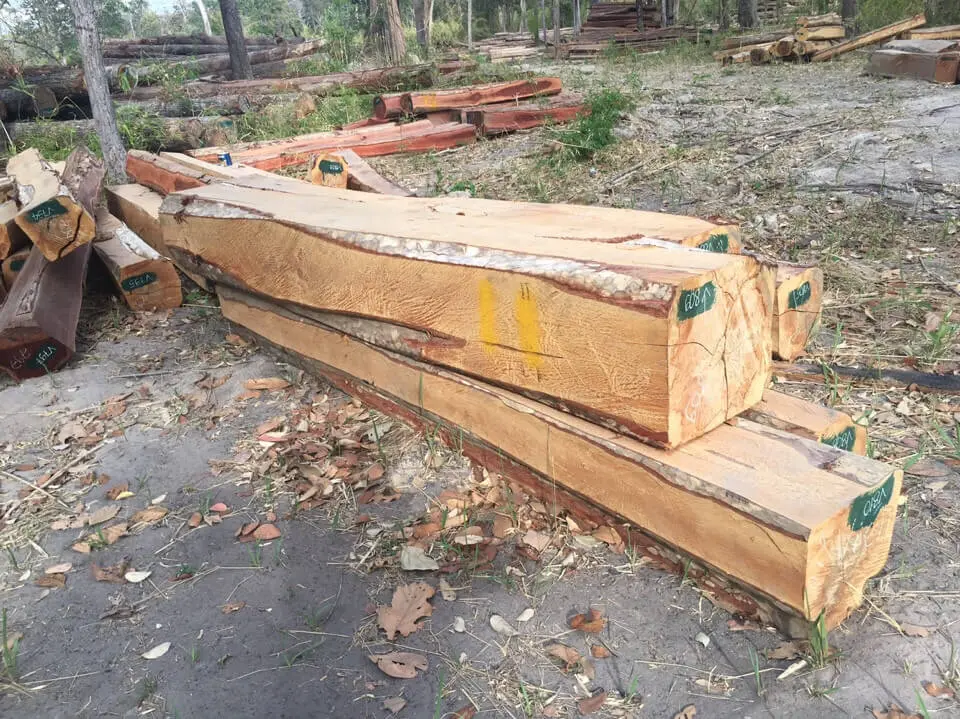 Gỗ Bằng lăng cườm