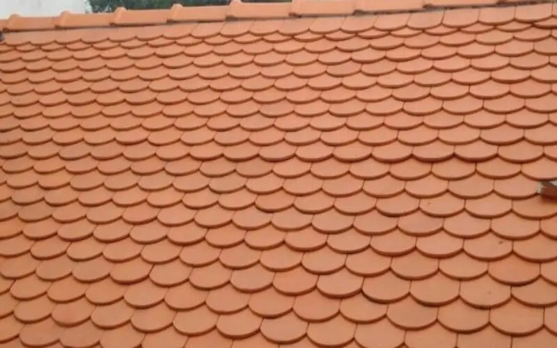 Ngói Vảy Cá