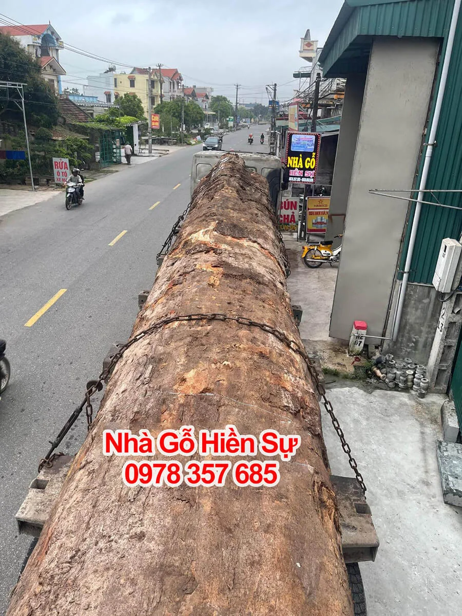 Loại gỗ lim