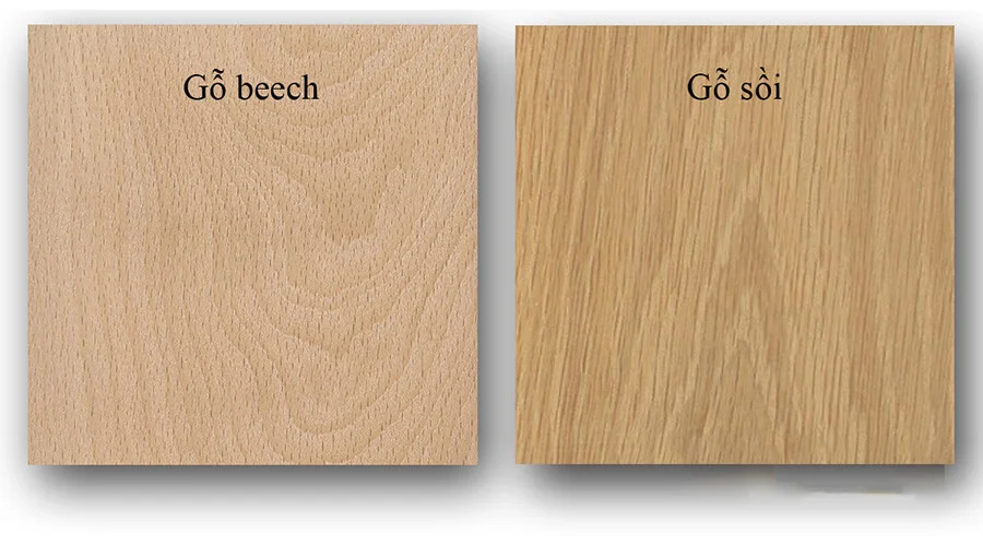 So sánh trực tiếp: Beech vs Sồi