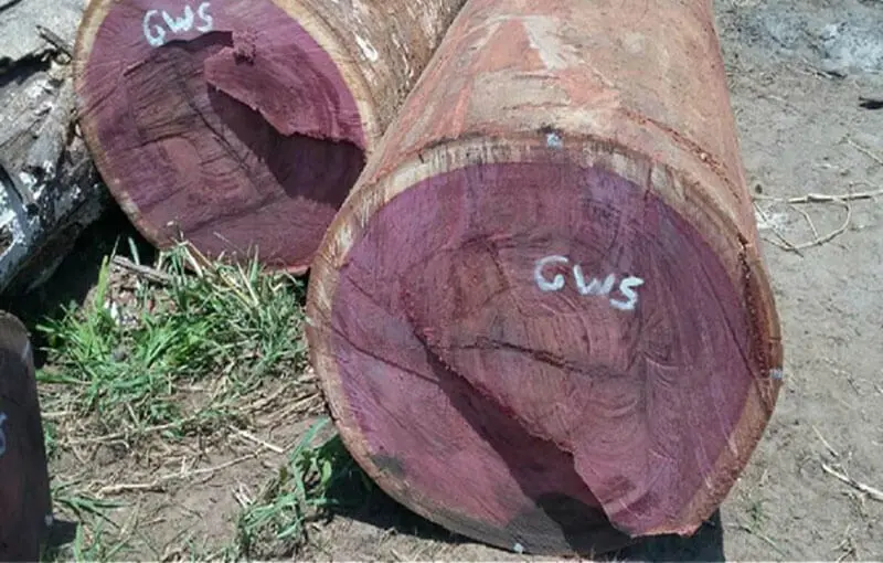 Gỗ cẩm lai giá bao nhiêu 1kg?