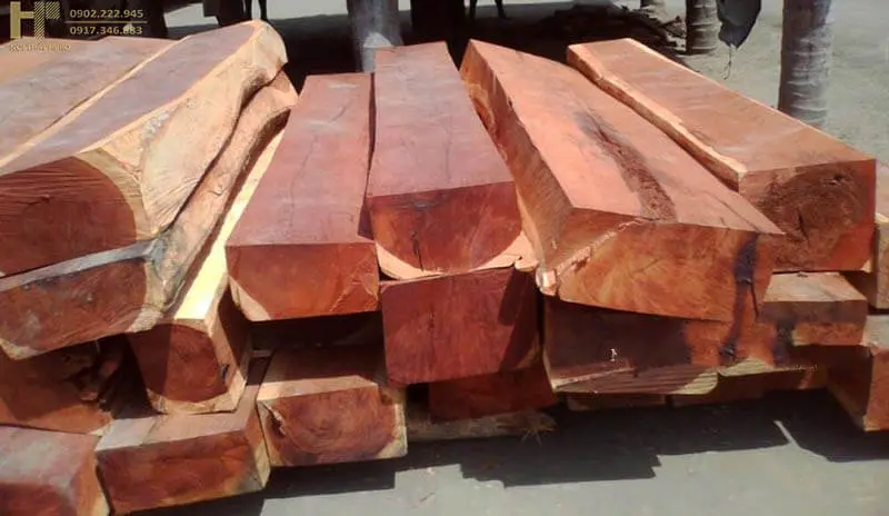 Cách nhận biết gỗ gụ thật và lưu ý