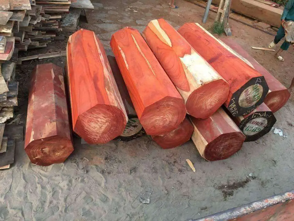 Cách phân biệt gỗ Hương