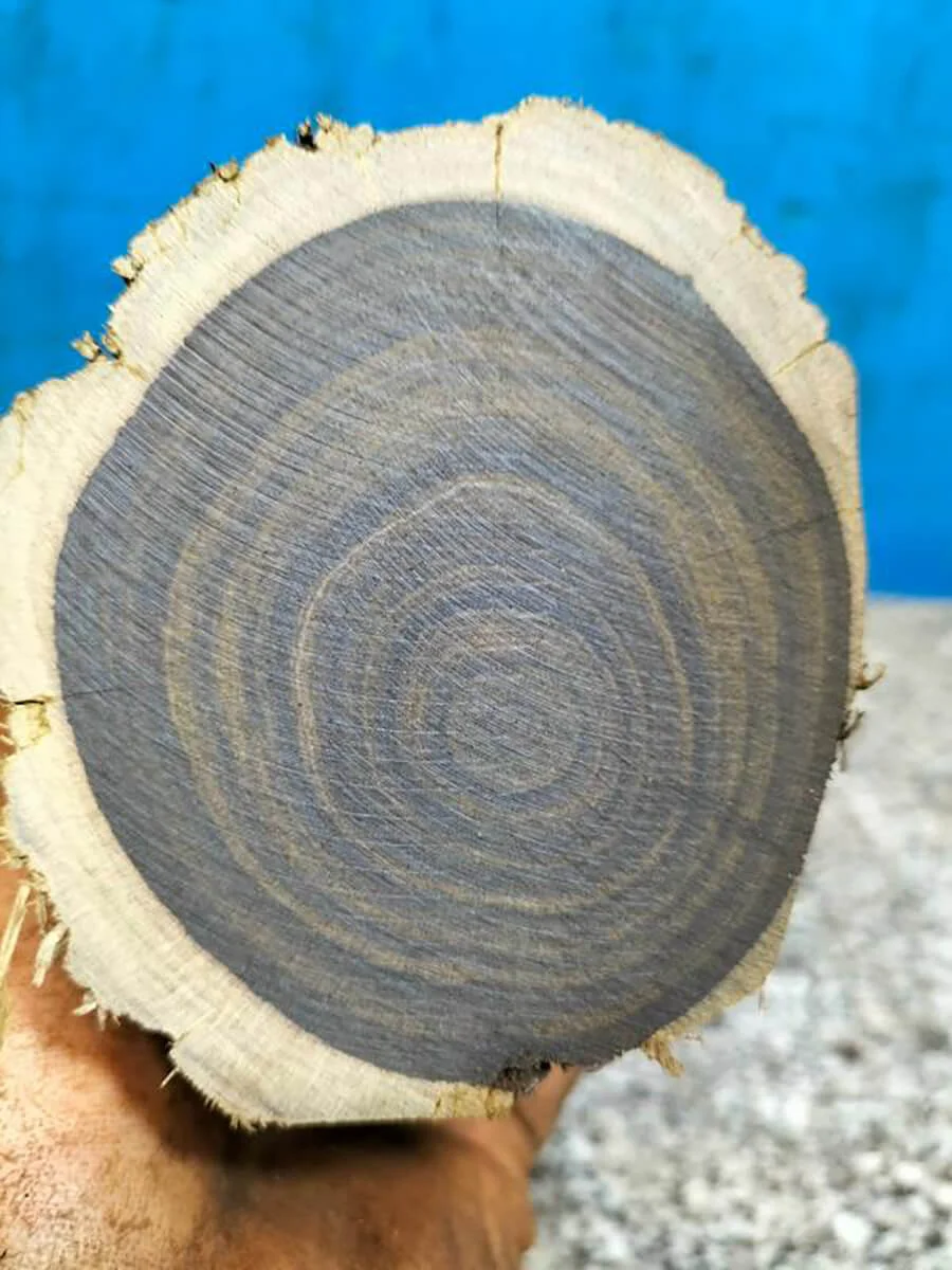 Đặc điểm nhận dạng