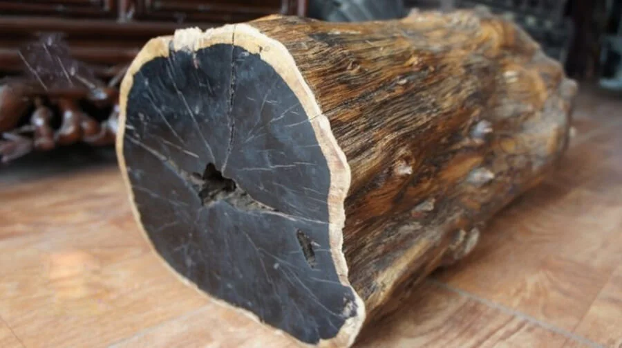 Gỗ mun bao nhiêu tiền?