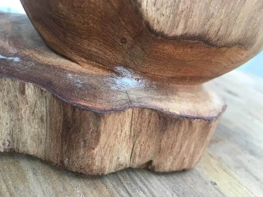 Cách nhận biết tuyết thật và "tuyết giả"