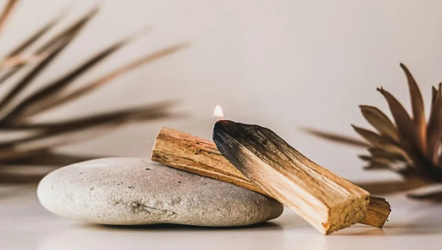 Gỗ Palo Santo giá bao nhiêu tại Việt Nam?