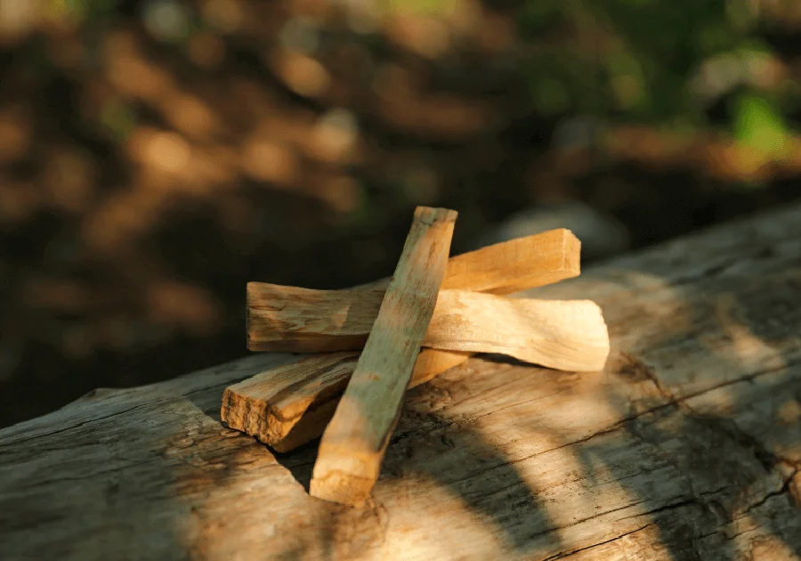 Palo Santo – Khi gỗ trở thành "thánh"