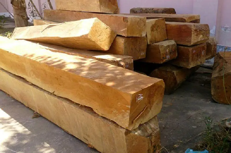 Gỗ Táu bao nhiêu tiền một khối?