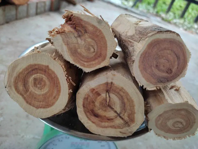 Gỗ trắc bao nhiêu tiền 1kg?