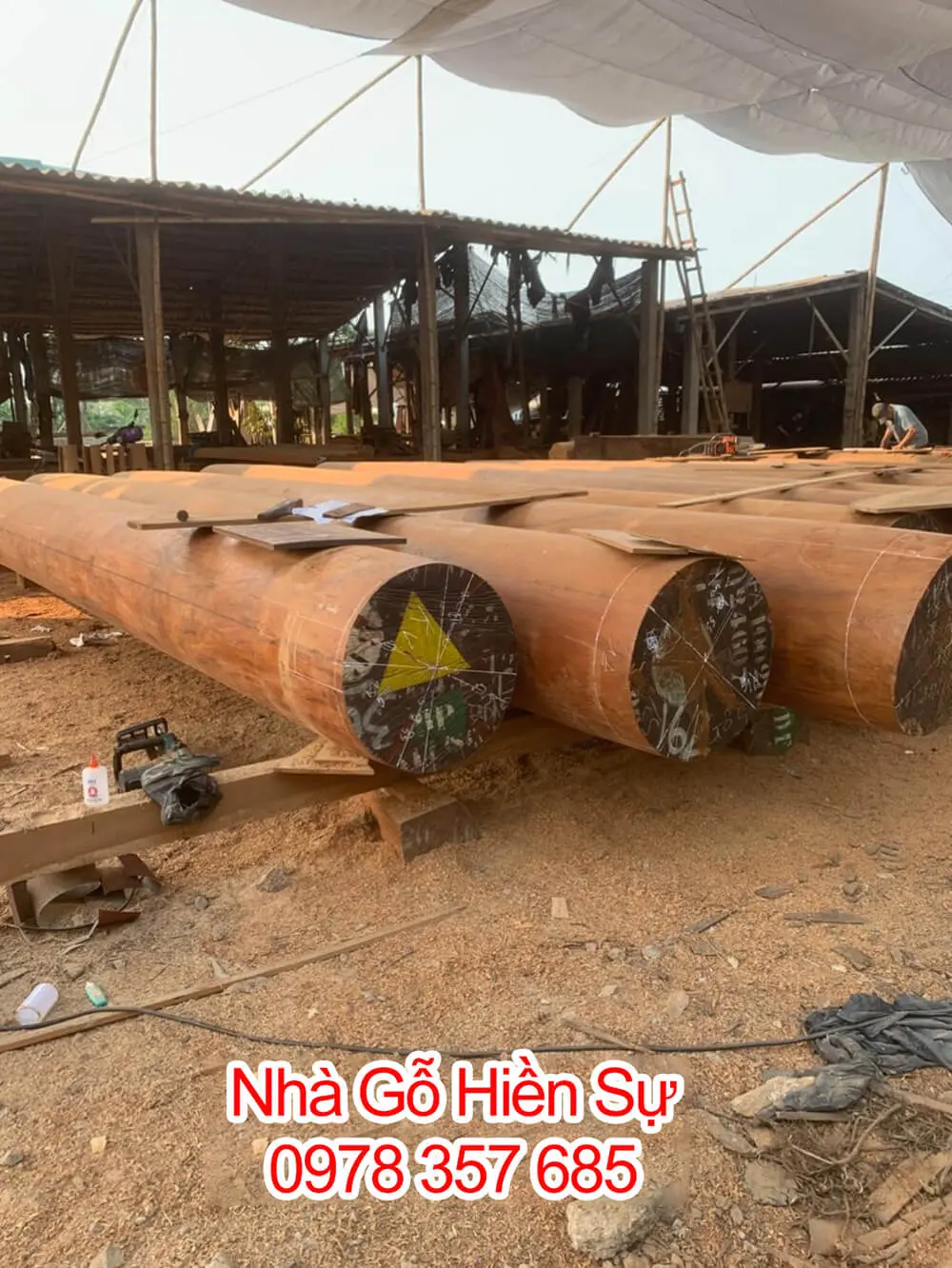 Lựa chọn loại gỗ phù hợp