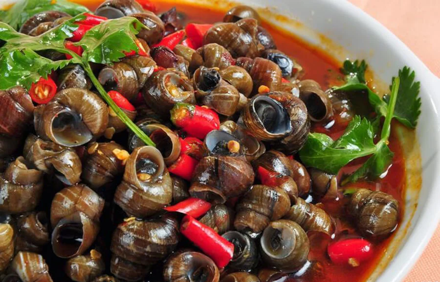 Vậy bạn nên làm gì? Lời khuyên cho bạn