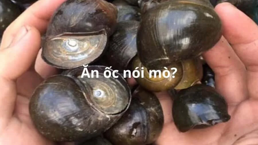 Theo quan niệm dân gian (Kiêng kị)