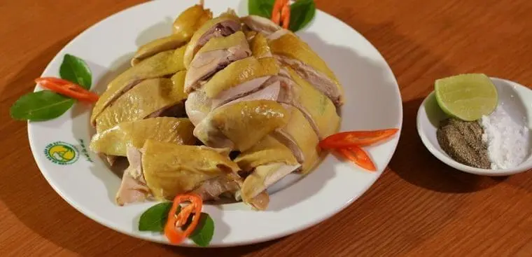 Thịt gà