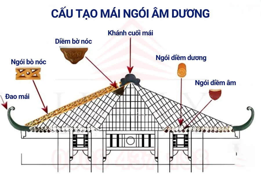 Cấu tạo đặc biệt