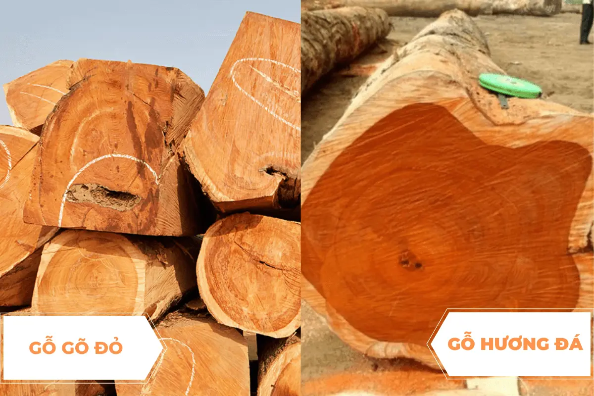 So sánh gỗ gõ đỏ và gỗ hương
