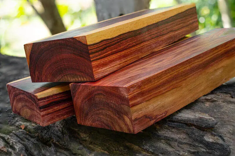 Nên lựa chọn loại gỗ nào?
