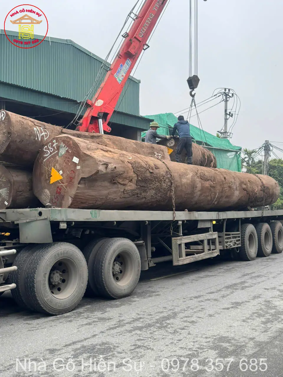 Gỗ lim xanh Nam Phi hiện tại là phổ biến nhất